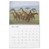 Safari 2015 kalender (Mär 2027)