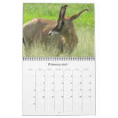 Safari 2025 kalender (Feb 2027)