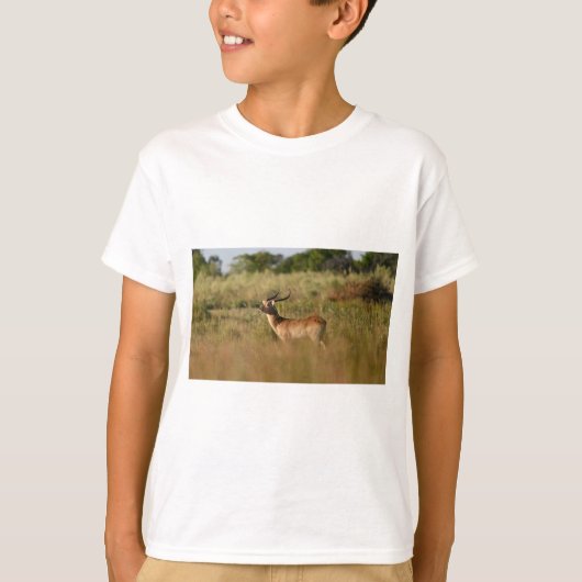 Safari Adventure Buddy-Animal Friend T-Shirt für K (Vorderseite)