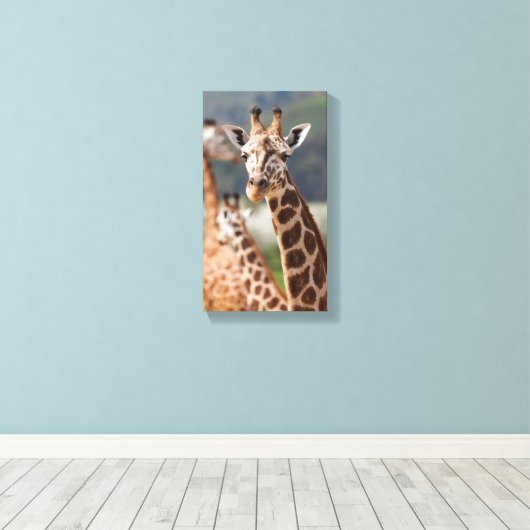 Safari Africa Giraffe Leinwanddruck (Insitu (Holzboden))