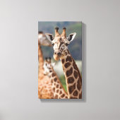 Safari Africa Giraffe Leinwanddruck (Vorderseite)
