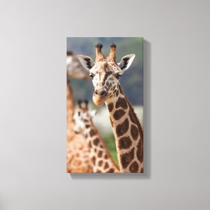 Safari Africa Giraffe Leinwanddruck