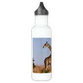 Safari Africa Giraffes Trinkflasche (Links)