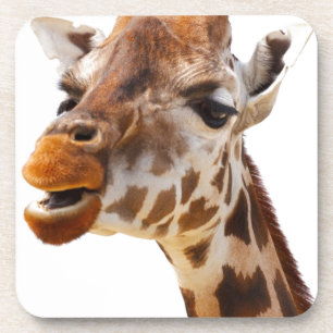 Safari Africa Jungle Giraffe Getränkeuntersetzer