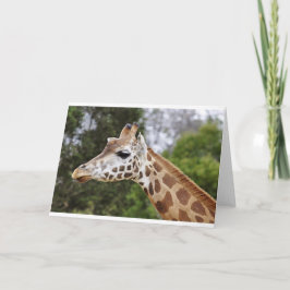 Safari Africa Mod Chic Classy Destiny Giraffe Karte