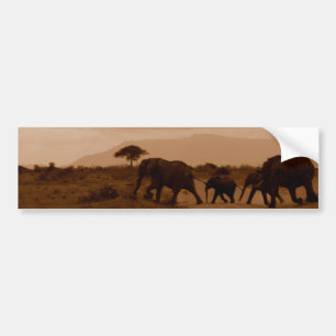 Safari Africa Niedlich Adorable Destinable Elephan Autoaufkleber