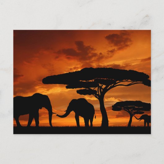 Safari African Baobab Tree Elefant Silhouette Postkarte (Vorderseite)
