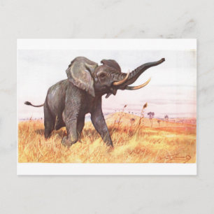 Safari African Jungle Destiny Animals Elephants Postkarte