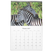Safari Afrika 2026 Kalender (Jan 2027)