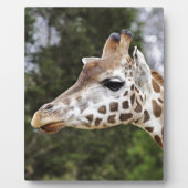 Safari-Afrika-Modchic-noble Schicksals-Giraffe Fotoplatte (Vorderseite)