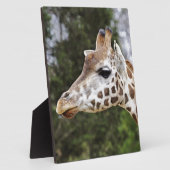 Safari-Afrika-Modchic-noble Schicksals-Giraffe Fotoplatte (Seite)