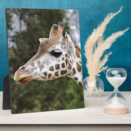 Safari-Afrika-Modchic-noble Schicksals-Giraffe Fotoplatte (Seite)
