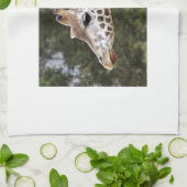 Safari-Afrika-Modchic-noble Schicksals-Giraffe Geschirrtuch (Gefaltet)