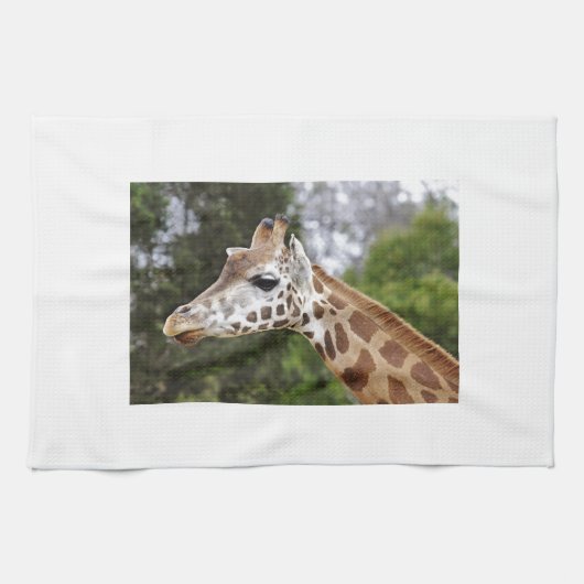 Safari-Afrika-Modchic-noble Schicksals-Giraffe Geschirrtuch (Horizontal)