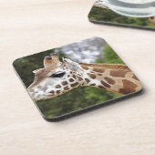 Safari-Afrika-Modchic-noble Schicksals-Giraffe Getränkeuntersetzer (Linke Seite)