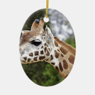 Safari-Afrika-Modchic-noble Schicksals-Giraffe Keramik Ornament