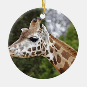 Safari-Afrika-Modchic-noble Schicksals-Giraffe Keramikornament