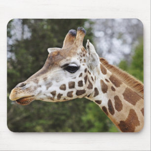Safari-Afrika-Modchic-noble Schicksals-Giraffe Mousepad