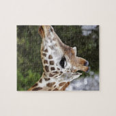 Safari-Afrika-Modchic-noble Schicksals-Giraffe Puzzle (Horizontal)