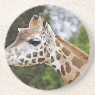 Safari-Afrika-Modchic-noble Schicksals-Giraffe Sandstein Untersetzer