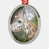 Safari-Afrika-Modchic-noble Schicksals-Giraffe Silbernes Ornament (Links)