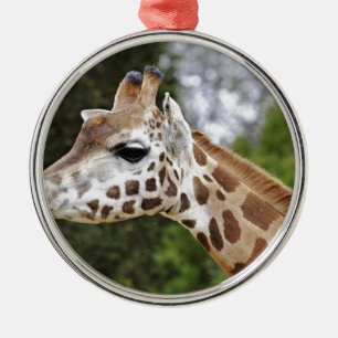 Safari-Afrika-Modchic-noble Schicksals-Giraffe Silbernes Ornament