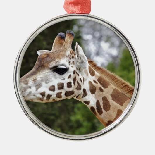 Safari-Afrika-Modchic-noble Schicksals-Giraffe Silbernes Ornament (Vorne)