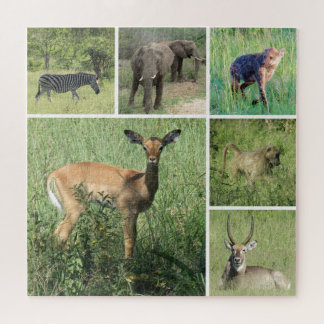 Safari Afrika Puzzle