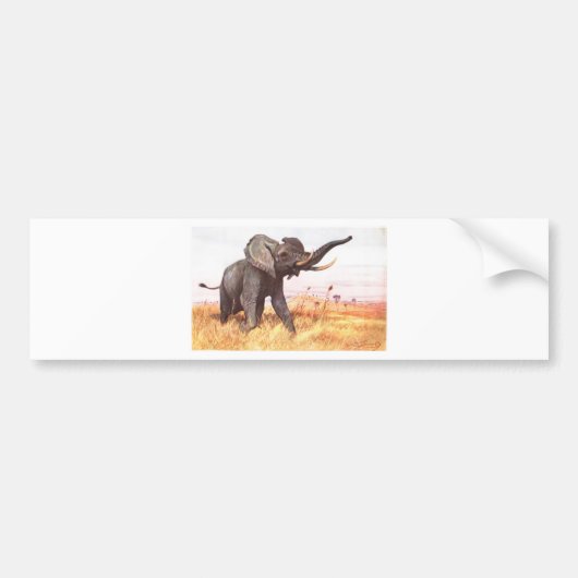 Safari-afrikanische Autoaufkleber (Vorne)