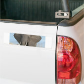 Safari-afrikanische Autoaufkleber (Auf Lkw)