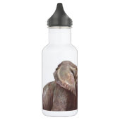 Safari-afrikanische Edelstahlflasche (Links)