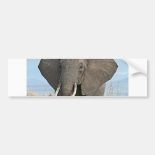 Safari Afrikanischer Dschungel Schicksal Tiere Ele Autoaufkleber