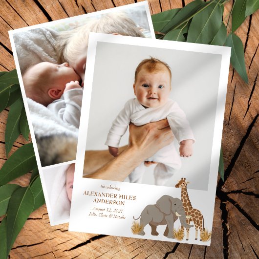 Safari Animals Fotos Neue Kinderankündigung Einladung