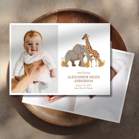 Safari Animals Fotos Neue Kinderankündigung Einladung