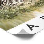 Safari Arica Poster (Ecke)