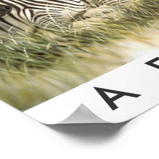 Safari Arica Poster (Ecke)