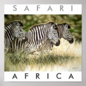 Safari Arica Poster (Vorne)