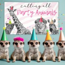 Safari Birthday rufen alle Tiere an
