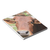 Safari Brown Cow Notizblock (angewinkelt)