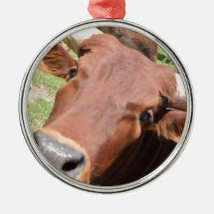 Safari Brown Cow Ornament Aus Metall