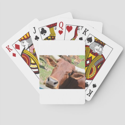 Safari Brown Cow Spielkarten (Rückseite)