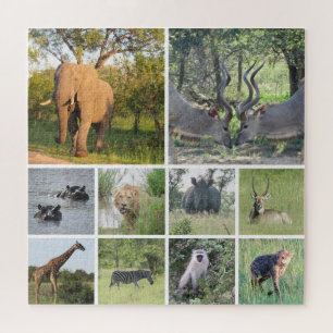 Safari-Collage Puzzle