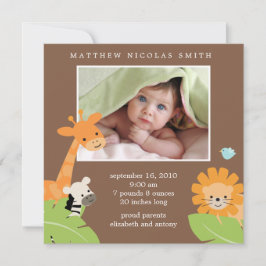 Safari Friends - Geburtshinweise Ankündigung