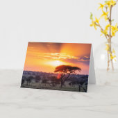 Safari im Serengeti-Nationalpark Karte (Gelbe Blume)