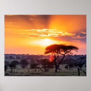 Safari im Serengeti-Nationalpark Poster