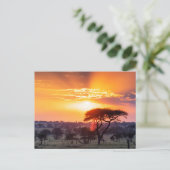 Safari im Serengeti-Nationalpark Postkarte (Stehend Vorderseite)