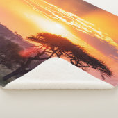 Safari im Serengeti-Nationalpark Sherpadecke (3/4)