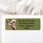 Safari in Des Moines (Insitu)