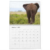 Safari Kalender (Feb 2027)