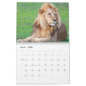 Safari Kalender (Mär 2026)